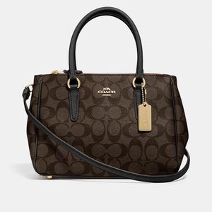 Coach Mini Surrey Carryall In Signature Canvas